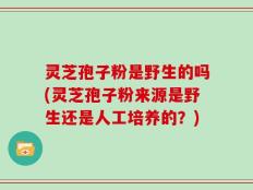 灵芝孢子粉是野生的吗(灵芝孢子粉来源是野生还是人工培养的？)