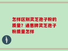 怎样区别灵芝孢子粉的质量？通惠牌灵芝孢子粉质量怎样