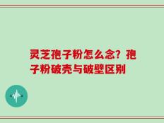 灵芝孢子粉怎么念？孢子粉破壳与破壁区别