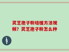 灵芝孢子粉培植方法视频？灵芝孢子粉怎么种
