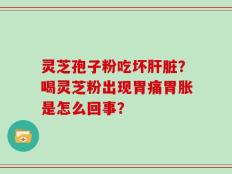 灵芝孢子粉吃坏肝脏？喝灵芝粉出现胃痛胃胀是怎么回事？