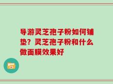 导游灵芝孢子粉如何铺垫？灵芝孢子粉和什么做面膜效果好