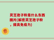 灵芝孢子粉是什么东西图片(解密灵芝孢子粉，提高免疫力)