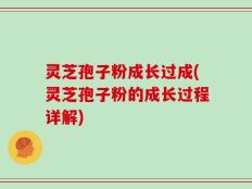 灵芝孢子粉成长过成(灵芝孢子粉的成长过程详解)