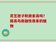 灵芝孢子粉激素高吗？提高鸟类雄性激素的植物