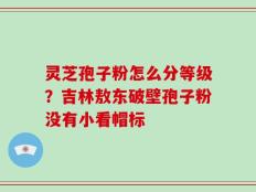 灵芝孢子粉怎么分等级？吉林敖东破壁孢子粉没有小看帽标