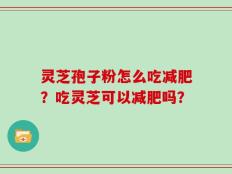 灵芝孢子粉怎么吃减肥？吃灵芝可以减肥吗？