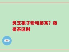 灵芝孢子粉和藤茶？藤婆茶区别