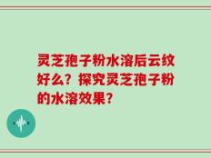 灵芝孢子粉水溶后云纹好么？探究灵芝孢子粉的水溶效果？