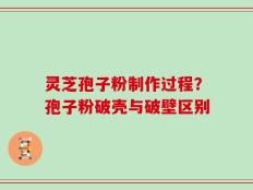 灵芝孢子粉制作过程？孢子粉破壳与破壁区别