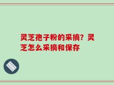 灵芝孢子粉的采摘？灵芝怎么采摘和保存