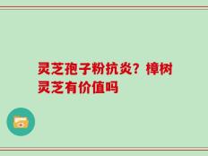 灵芝孢子粉抗炎？樟树灵芝有价值吗