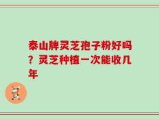 泰山牌灵芝孢子粉好吗？灵芝种植一次能收几年