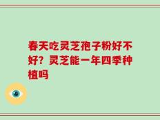 春天吃灵芝孢子粉好不好？灵芝能一年四季种植吗