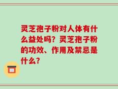灵芝孢子粉对人体有什么益处吗？灵芝孢子粉的功效、作用及禁忌是什么？