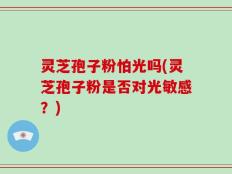 灵芝孢子粉怕光吗(灵芝孢子粉是否对光敏感？)