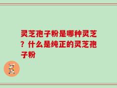 灵芝孢子粉是哪种灵芝？什么是纯正的灵芝孢子粉