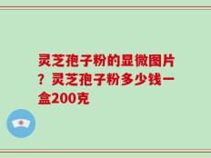 灵芝孢子粉的显微图片？灵芝孢子粉多少钱一盒200克