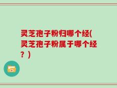 灵芝孢子粉归哪个经(灵芝孢子粉属于哪个经？)