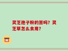 灵芝孢子粉的苦吗？灵芝草怎么食用？