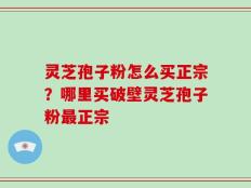 灵芝孢子粉怎么买正宗？哪里买破壁灵芝孢子粉最正宗