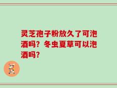 灵芝孢子粉放久了可泡酒吗？冬虫夏草可以泡酒吗？