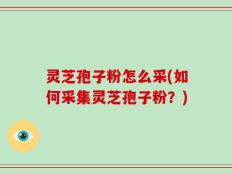 灵芝孢子粉怎么采(如何采集灵芝孢子粉？)
