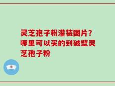 灵芝孢子粉灌装图片？哪里可以买的到破壁灵芝孢子粉
