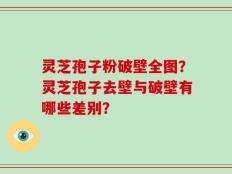 灵芝孢子粉破壁全图？灵芝孢子去壁与破壁有哪些差别？