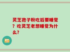 灵芝孢子粉吃后要睡觉？吃灵芝老想睡觉为什么？