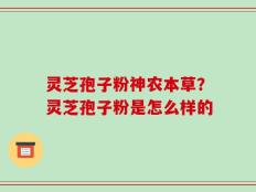 灵芝孢子粉神农本草？灵芝孢子粉是怎么样的