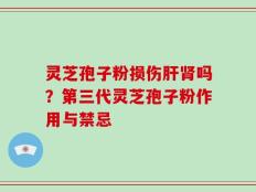 灵芝孢子粉损伤肝肾吗？第三代灵芝孢子粉作用与禁忌