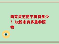 两克灵芝孢子粉有多少？1g粉末有多重参照物