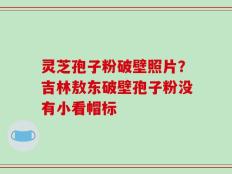 灵芝孢子粉破壁照片？吉林敖东破壁孢子粉没有小看帽标