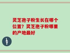 灵芝孢子粉生长在哪个位置？灵芝孢子粉哪里的产地最好