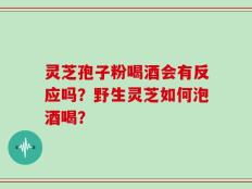灵芝孢子粉喝酒会有反应吗？野生灵芝如何泡酒喝？