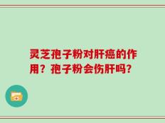 灵芝孢子粉对肝癌的作用？孢子粉会伤肝吗？
