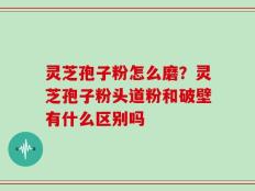 灵芝孢子粉怎么磨？灵芝孢子粉头道粉和破壁有什么区别吗