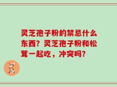 灵芝孢子粉的禁忌什么东西？灵芝孢子粉和松茸一起吃，冲突吗？