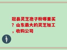 冠县灵芝孢子粉哪里买？山东最大的灵芝加工，收购公司