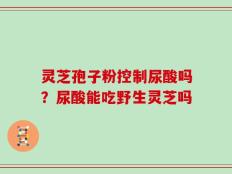 灵芝孢子粉控制尿酸吗？尿酸能吃野生灵芝吗