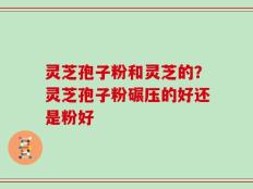 灵芝孢子粉和灵芝的？灵芝孢子粉碾压的好还是粉好