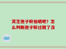 灵芝孢子粉怕晒吧？怎么判断孢子粉过期了没