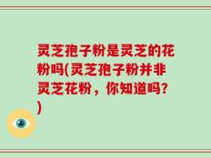 灵芝孢子粉是灵芝的花粉吗(灵芝孢子粉并非灵芝花粉，你知道吗？)