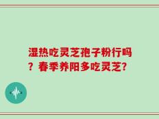 湿热吃灵芝孢子粉行吗？春季养阳多吃灵芝？