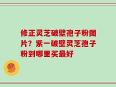 修正灵芝破壁孢子粉图片？紫一破壁灵芝孢子粉到哪里买最好