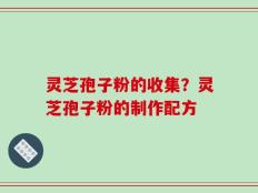 灵芝孢子粉的收集？灵芝孢子粉的制作配方