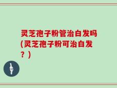 灵芝孢子粉管治白发吗(灵芝孢子粉可治白发？)