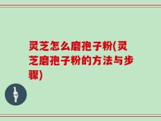 灵芝怎么磨孢子粉(灵芝磨孢子粉的方法与步骤)