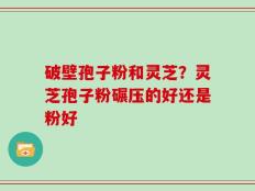 破壁孢子粉和灵芝？灵芝孢子粉碾压的好还是粉好